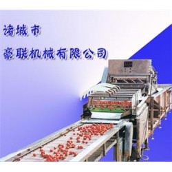 供應胡蘿卜清洗機、白蘿卜清洗機