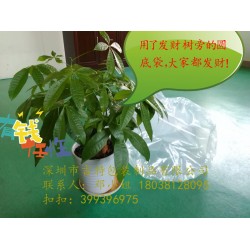 PE圓底塑料袋、有機硅膠圓底桶狀包裝袋、高壓圓底袋