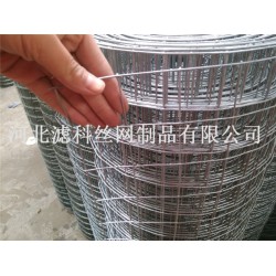 全球領導品牌¤廠家濾科供應優(yōu)質(zhì)不銹鋼鋼筋電焊網(wǎng)，價格也不
