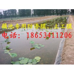 藕池種植防滲膜 水產防滲膜  養殖防滲膜
