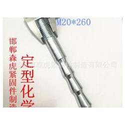 M20定型化學錨栓供應廠家 想買價位合理的M20定型化學錨栓，就來森虎緊固件