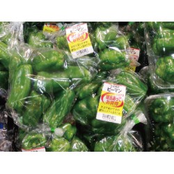 防霧袋-出口日本的防霧袋