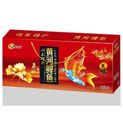 山東物超所值的黃河鯉魚禮盒【供應】，聊城黃河鯉魚禮盒