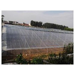 熱賣水晶PO膜市場(chǎng)價(jià)格|煙臺(tái)PO膜