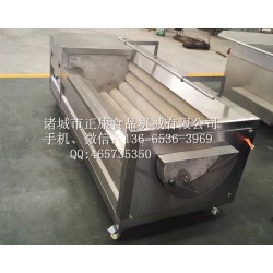 毛刷清洗機(jī)價位，濰坊哪里有賣質(zhì)量硬的毛棍清洗機(jī)