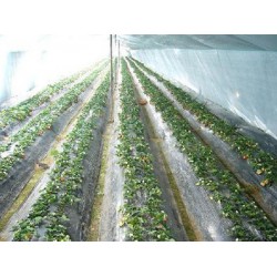 甘肅地膜生產(chǎn)廠(chǎng)家報(bào)價(jià)_西北地膜廠(chǎng)家