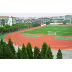 巢湖塑膠跑道|巢湖塑膠跑道廠家|巢湖塑膠跑道價格【優質的品牌】