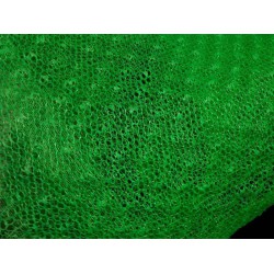 河南三維植被網(wǎng) 山東專業(yè)的三維植被網(wǎng)供應商