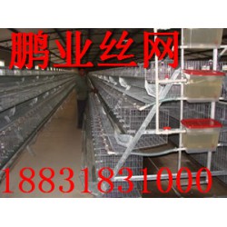 河南鄭州蛋雞籠——河北優質養殖蛋雞籠價格