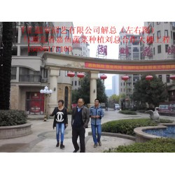 濰坊可信賴的蔬菜大棚建造公司，當屬千匯溫室——蔬菜大棚造價