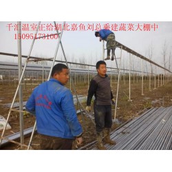 濰坊可靠的蔬菜大棚建造公司，當屬千匯溫室，蔬菜大棚建造