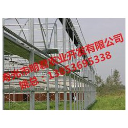 【誠薦】智能溫室大棚建設訊息，溫室大棚搭建報價