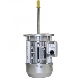 RV110|名企推*專業(yè)的鋁殼長軸電機