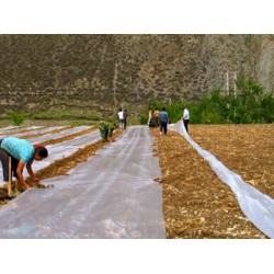 地膜生產(chǎn)廠(chǎng)家怎么樣 西北地膜公司