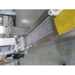 （非標(biāo)定制)全自動(dòng)拉伸膜真空包裝機(jī)