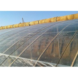 大型的農膜廠家|品質好的塑料大棚膜供應盡在齊環(huán)塑料