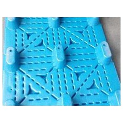 塑料棧板塑料托盤優(yōu)質供應商推*