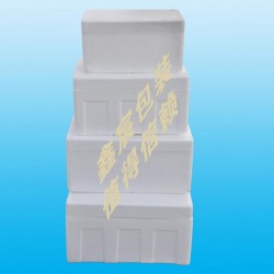 泡沫制品【加工定制】當然找鑫宸包裝公司|專業的【蔬菜保鮮】