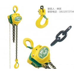 美國(guó)智友手拉葫蘆