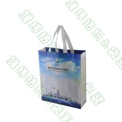 無(wú)紡布袋廠家、環(huán)保袋購(gòu)物袋、惠州環(huán)保袋廠家