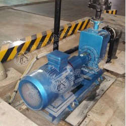 礦用ZN50-50-2.2吸煤泥專用倒漿泵質優價廉