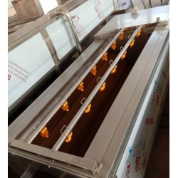 黃桃清洗機，黃桃罐頭加工全套設備