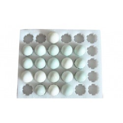 貴州銅仁珍珠棉-銅仁珍珠棉循環(huán)造-銅仁珍珠棉外觀(guān)美