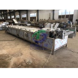 黃桃漂燙機 罐頭加工設備廠家專業定制
