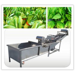 專業定制凈菜清洗機 蔬菜清洗機 中央廚房大型洗菜機諸城冠通
