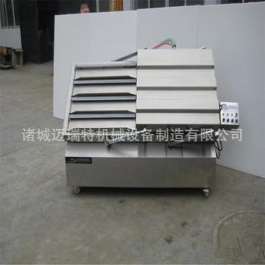 液體專(zhuān)用真空包裝機(jī) 傾斜式真空包裝機(jī) 食品傾斜式真空包裝機(jī)