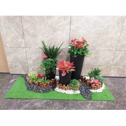 武漢室內盆景報價公司花卉養護室外苗木，商場綠植養護工廠盆景