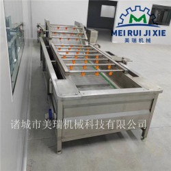 蔬菜水果氣泡清洗機 全自動醬菜生產線 醬腌菜加工成套機械
