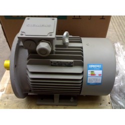茵夢達(dá)貝得異步電動機(jī)1TL0003-0EA42西安榆林經(jīng)銷商