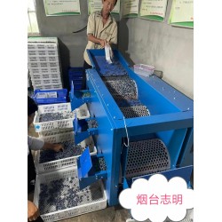 長沙市藍莓調速滾筒選果分*機廠家批發