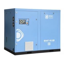 中山東鳳鎮空壓機-東鳳鎮永磁變頻雙*空壓機-鮑斯股份