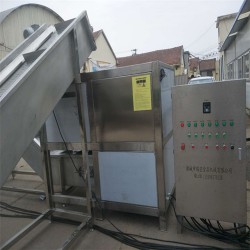 凍盤破碎機 破碎絞肉一體機 破碎提升生產線