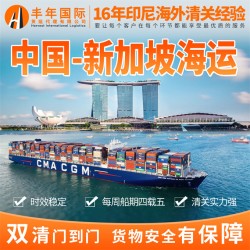 中國到新加坡海運集裝箱價格 雙清到門專線貨代