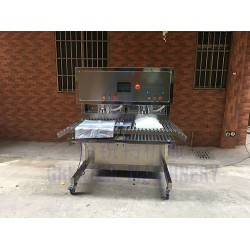 雙頭BIB無菌灌裝機(jī) 定量稱重式盒中袋無菌灌裝 果蔬飲料液體