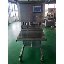 復(fù)合軟袋液體酒水灌裝機(jī) 無菌大袋灌裝機(jī)